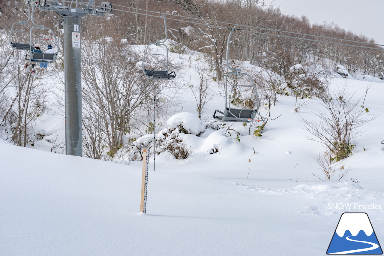 八雲町営スキー場｜初心者から中・上級者まで楽しめるコースが揃う、道南・八雲町のローカルゲレンデへ！